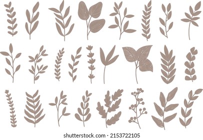 Conjunto de elementos de hojas marrones para la decoración