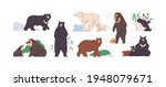 Set of brown, polar, black, Himalayan, Malay, spectacled, honey, sloth bear and panda. Animals in different poses, standing, walking and eating. Colored flat vector illustration isolated on white