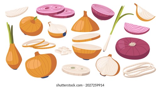 Set von braunen und violetten Zwiebeln, Gemüse, Naturgarten, Veggies Kultur. Gesunde Ernährung, Öko-Landwirtschaftliche Produktion Bio-Reifenschrot mit grünen Blättern, Design-Elemente. Cartoon-Vektorgrafik