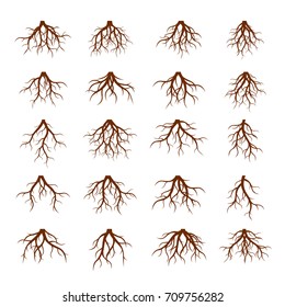 Set of Brown Roots. Vector Illustration.