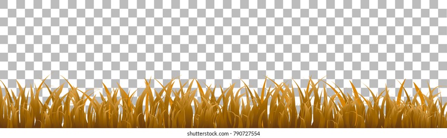 set of brown summer grass that is long to be used as a design element, isolated from a transparent background vector image.