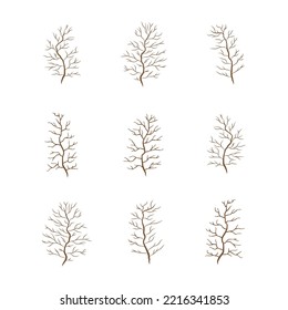 A set of brown trees or branch without leaves vector illustration on a white background.