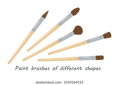 Set of brushes for painting with different bristle shapes. Various vector tools for drawing with paint, watercolor, gouache. Selection of isolated objects on transparent background