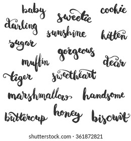 Set of brushpen lettering and calligraphy affectionate nickname for your significant other with such word as baby, darling, sugar, biscuit and other. Template for invitations card for Valentines Day.