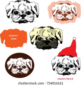 Set with Brussels griffon dog breed vector. Pets. Hand drawing ink  illustration.