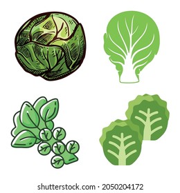 conjunto de iconos de los brotes de Bruselas, línea aislada o logotipo símbolo de signo aislado vector, contorno y estilo de trazo Colección de ilustración vectorial de alta calidad,