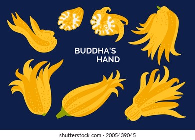 Set of Buddha's hand exotic fruits. Collection of fingered citron. Vector cartoon doodle illustration isolated on the dark background