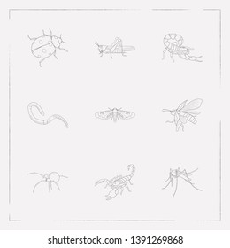 Set of bug icons line style symbols with june bug, mosquito, ladybird and other icons for your web mobile app logo design.