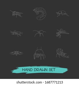 Set of bug icons line style symbols with fat tailed scorpion, cricket, wasp and other icons for your web mobile app logo design.