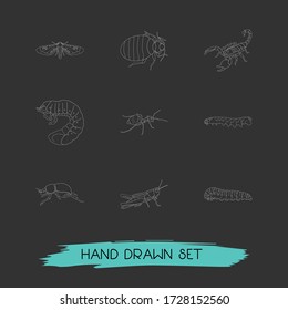 Set of bug icons line style symbols with poisonous, grub, bedbug and other icons for your web mobile app logo design.