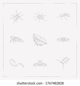 Set of bug icons line style symbols with stag beetle, spider, butterfly and other icons for your web mobile app logo design.