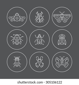 Set of bug line vector icons. Thin line symbols of different insects.