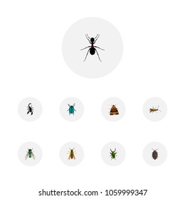 Set of bug realistic symbols with beetle, pismire, wasp and other icons for your web mobile app logo design.