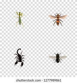 Set of bug realistic symbols with scorpion, fly, mantis and other icons for your web mobile app logo design.