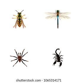 Set of bug realistic symbols with sting, tarantula, dragonfly and other icons for your web mobile app logo design.