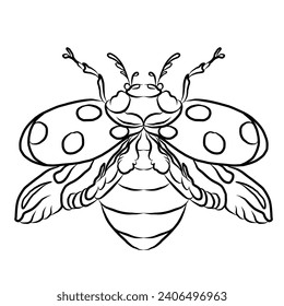 Set of Bug vector illustration for coloring book or clipart isolated on white background.Elements for printing on sticker or children book .Hand drawn vector.