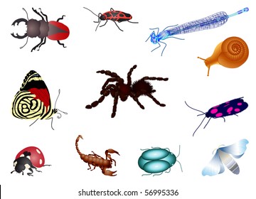 Set of bugs