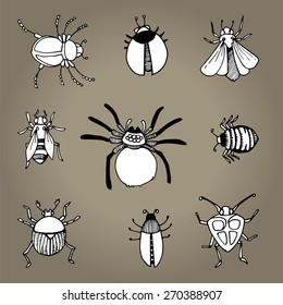 Set of bugs and insects, Hand drawn, vector illustration