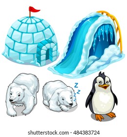 Set of buildings of ice isolated on a white background. Wild animals of North and South pole. Vector illustration.