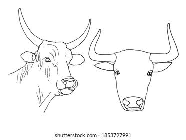 Satz Stier-Kopf-Symbol dünne Linie, Bauernkonzept, Viehzeichen auf weißem Hintergrund, Stier-Kopf-Silhouette-Symbol in Umriss-Stil für Färbung, mobiles Konzept und Web-Design.