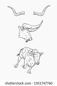Set of Bull Illustrations (Outline) 