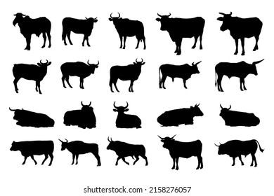 Set Bull Silhouettes Collection Bulls Various Stock Vector (Royalty ...