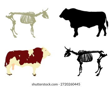 Set of bull skeleton vector silhouette illustration isolated on background. Biology education wallpaper poster. Farm animal symbol. Domestic animal cow bone structure shape. Herbivore ruminant shadow.