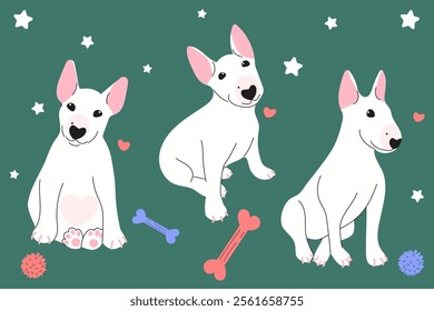 Set with bull terrier in different positions. Flat vector illustration.