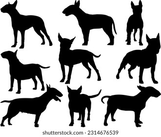 Set of Bull Terrier Dogs Silhouette