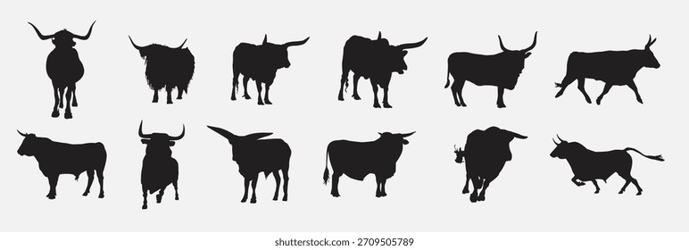 Conjunto de Ilustración vectorial de toro
