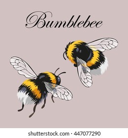 Set of bumblebees