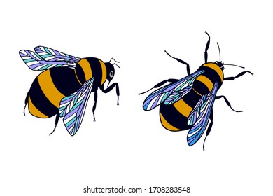 A set of bumblebees. Vector stock illustration eps 10. hand drawing. 