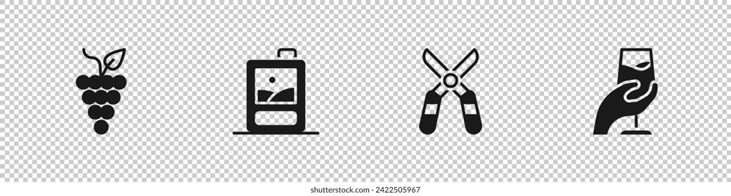 Set Bunch of grapes, Cardboard box wine, Gardening scissors and Wine tasting, degustation icon. Vector