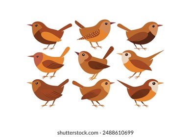 A set of bunches of Beautiful birds Wren with different designs vector illustration