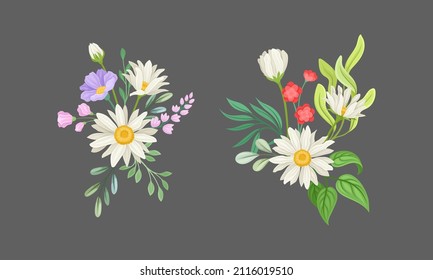 Conjunto de racimos de flores silvestres y chamóiles, diseño floral decorativo ilustración vectorial