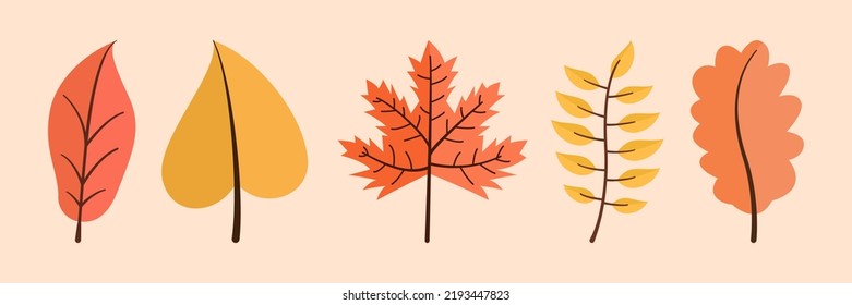 Set Paket mit Herbstblättern Kollektion einzeln. Blätter der Herbstsaison
