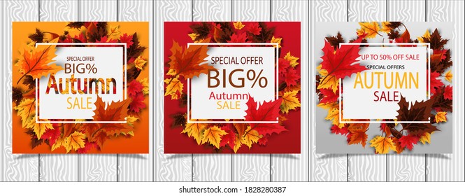 set, bundle, Autumn sale banner with colorful and rowan seasonal autumn leaves for discount shopping promotion. Vector illustration. on a white background, landing page