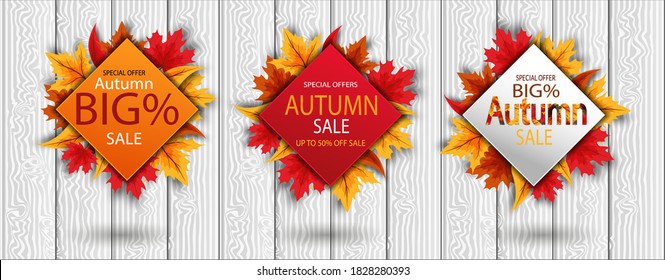 set, bundle, Autumn sale banner with colorful and rowan seasonal autumn leaves for discount shopping promotion. Vector illustration. on a white background, landing page