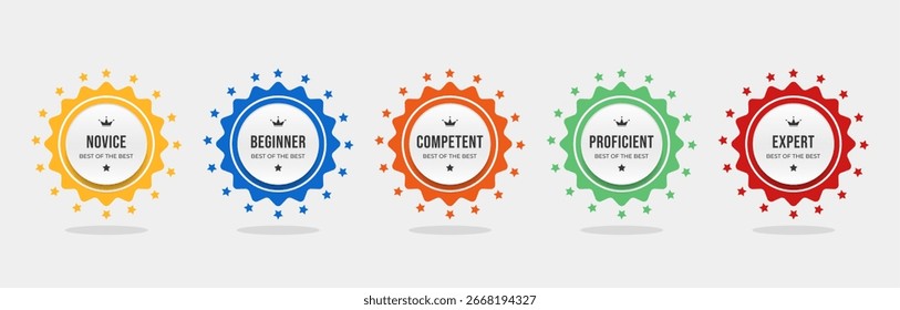 Set bundle badges for skill levels Novice to Expert colorful vector illustration template