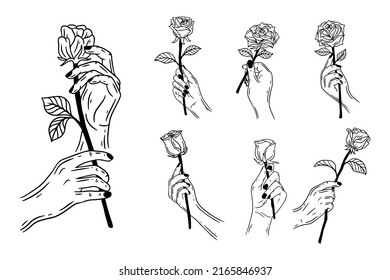 Set Bundle Line Art Drawing Simple Rose Flower with Hand Holding Hand Drawn