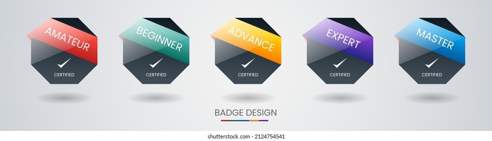 Set of bundle modern and simple colorful certified badge label logo design for Verification Standard, Business Quality Banner, Company Training Certificates, and Certified Product. Vector Illustration