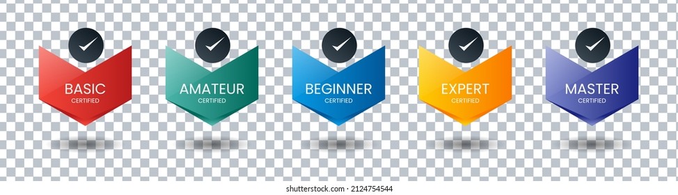 Set of bundle modern and simple colorful certified badge label logo design for Verification Standard, Business Quality Banner, Company Training Certificates, and Certified Product. Vector Illustration