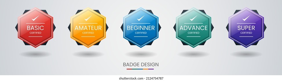 Set of bundle modern and simple colorful certified badge label logo design for Verification Standard, Business Quality Banner, Company Training Certificates, and Certified Product. Vector Illustration