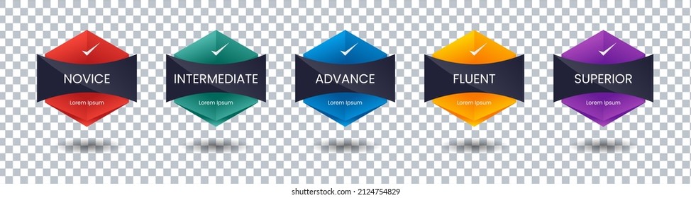 Set of bundle modern and simple colorful certified badge label logo design for Verification Standard, Business Quality Banner, Company Training Certificates, and Certified Product. Vector Illustration