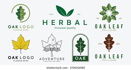 Set Bundle de hojas de roble Logotipo de vectores de arte de la línea de cosecha de hojas, Ilustración Diseño de la medicina de la naturaleza Concepto