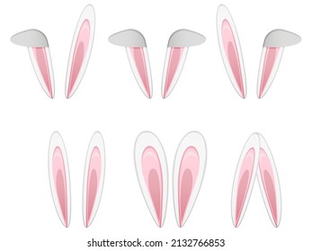 Set  with Bunny Ears. Vector isolated Illustration on white background
