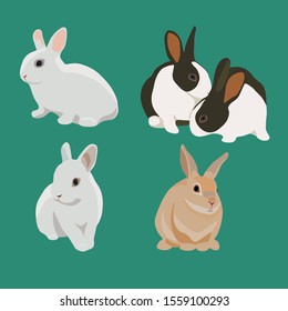 Set Of Bunny Rabbit Vector Realistic Style