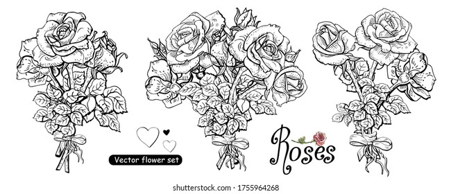 Set of buquet of roses.Line art, Black and white vector illustrations . Element for  spring or summer background, or other your design