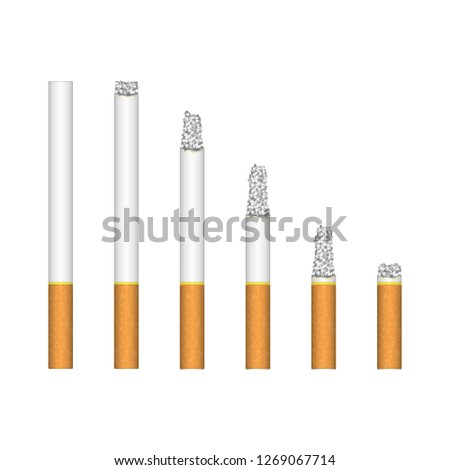 Set of burning cigarette. Realistic style. Smoldering cigarettes of different lengths isolated on white background. No smoking or anti tobacco concept. Vector illustration EPS 10.