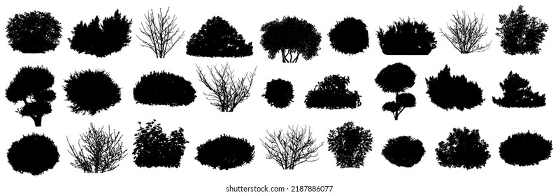Set of bush and bare bush, decorative garden plants, silhouettes. Vector illustration